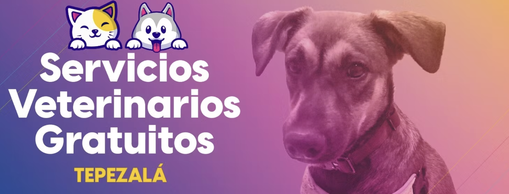 ATENCIÓN VETERINARIA GRATUITA LLEGARÁ A TEPEZALÁ, SAN FRANCISCO DE LOS ROMO Y COSÍO LA PRÓXIMA SEMANA